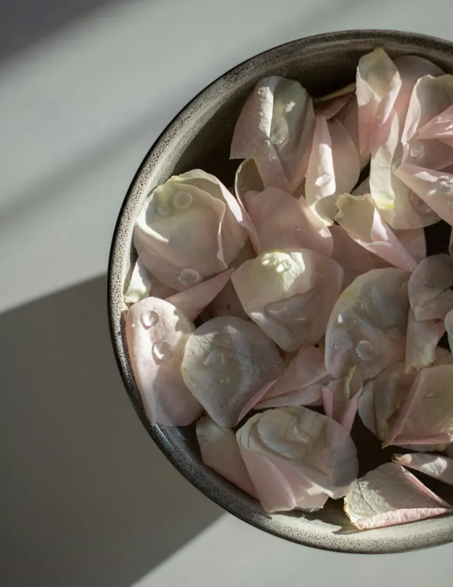 Top-down view of a bowl of pale pink rose petals