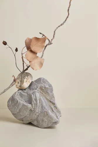 Grey stone with a dried flower stem in a minimal still life