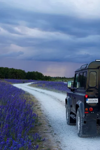 Dark green off-road vehicle on a gravel track through a lavender field under a stormy sky